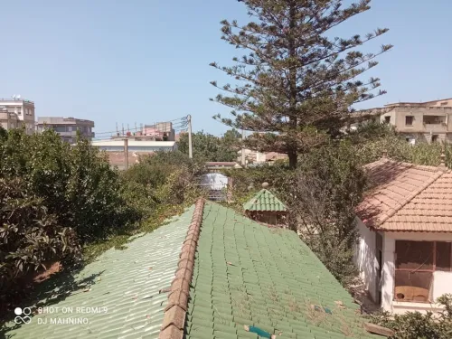 Vente Villa Alger Rouiba