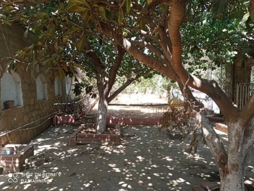Vente Villa Alger Rouiba