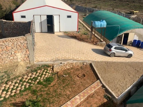 Vente Terrain Agricole Oran Ain el kerma