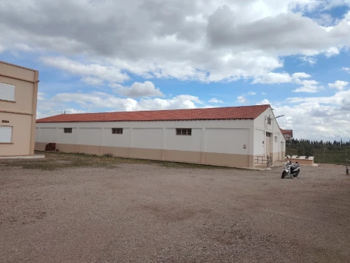 Location Hangar - Usine Sétif Ain arnat