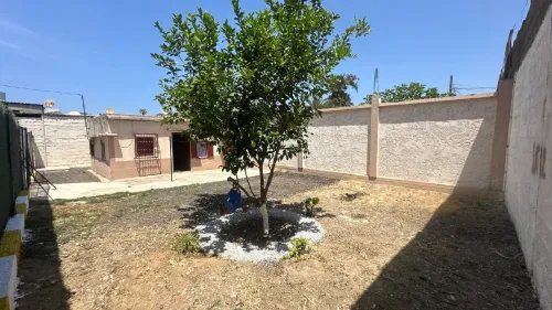 Vente Terrain Alger El harrach