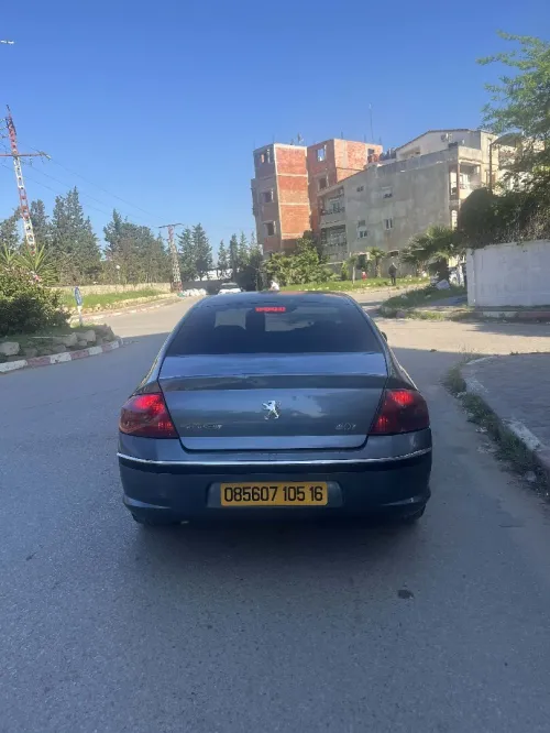 Peugeot 407 2005 407