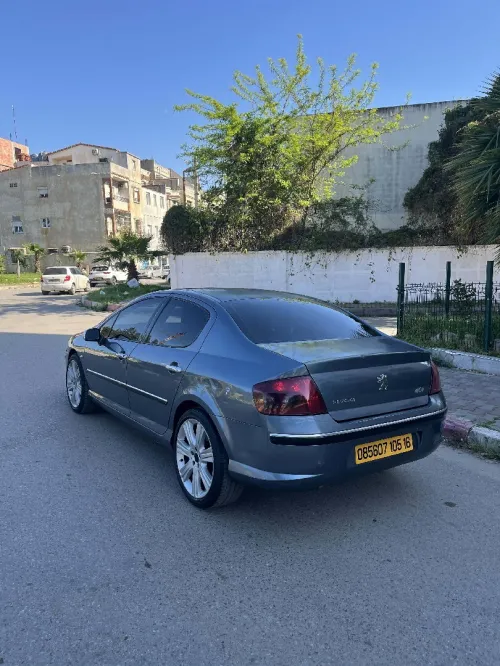 Peugeot 407 2005 407