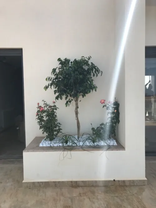 1-nettoyage des jardin  2-enetrtein des jardin  3-pose les plantes et les fleures  4-pose gazon 