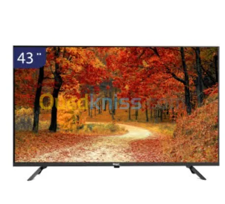 Téléviseur géant 43" simple 