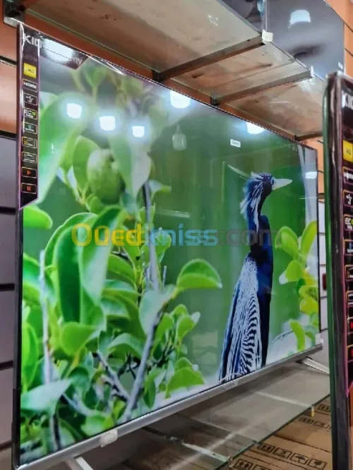 Télévision 50" smart Android marque kiowa 4k