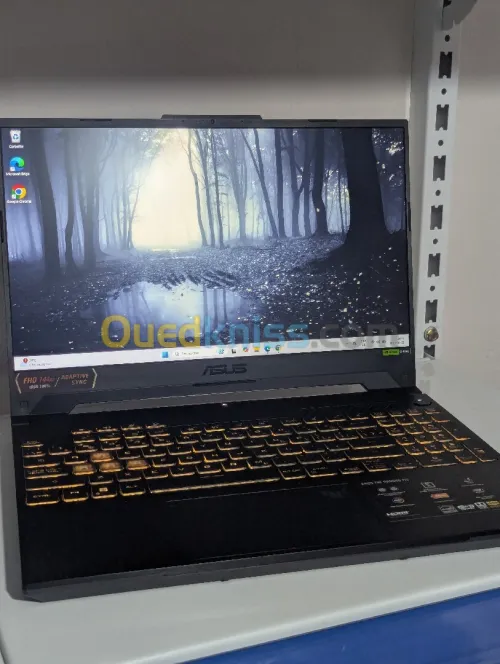 ASUS TUF GAMING F15 F507VV