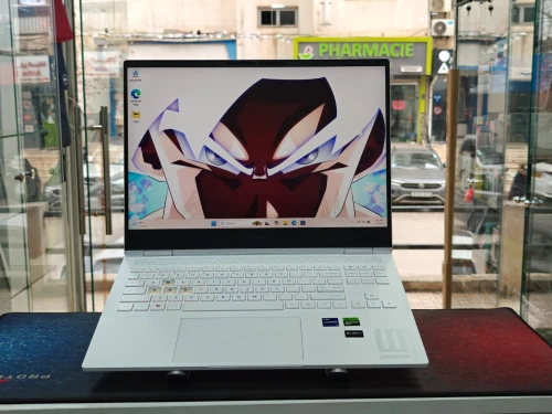 HP OMEN 16 SNOW ÉDITION I9 13900HX 16GB 1TB SSD 16,1 QHD 240Hz RTX 4060 8GB