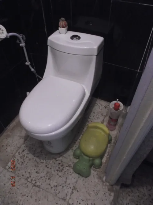 Vente Appartement F3 Chlef Chlef