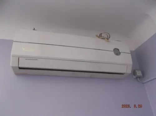 Vente Appartement F3 Chlef Chlef