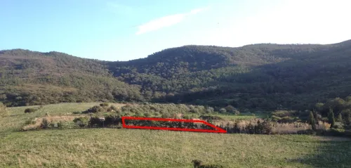 Vente Terrain Jijel Jijel