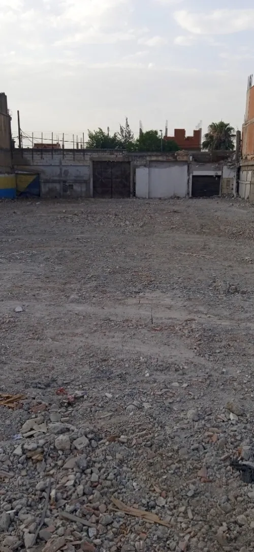 Vente Terrain Blida Chebli 3