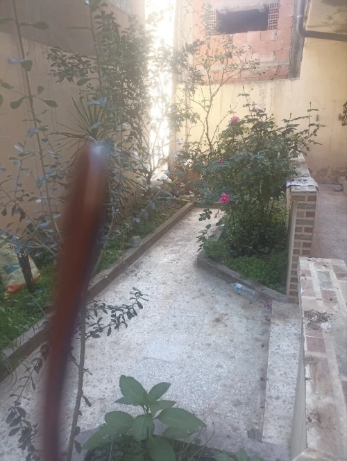 Location Appartement Niveau de villa F2 Alger Sidi moussa