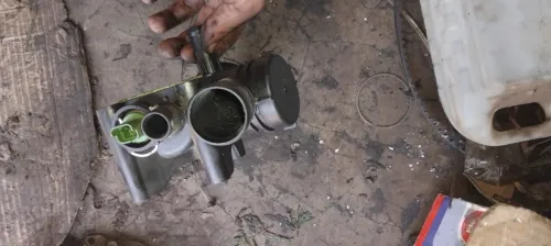Paip dau 