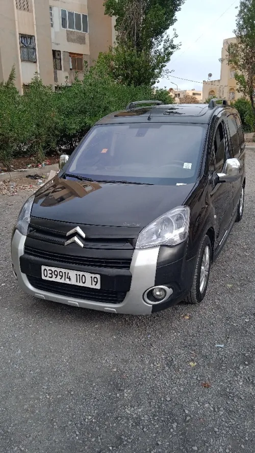 Citroen Berlingo 2010 Berlingo