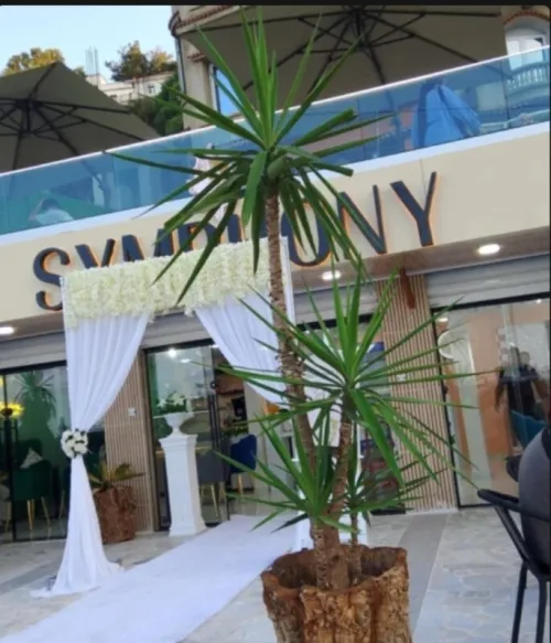 Location Local Skikda Skikda