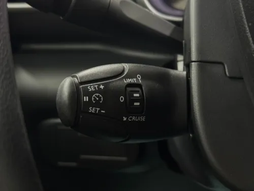 Citroen C4 2025 cactus