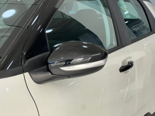 Citroen C4 2025 Cactus