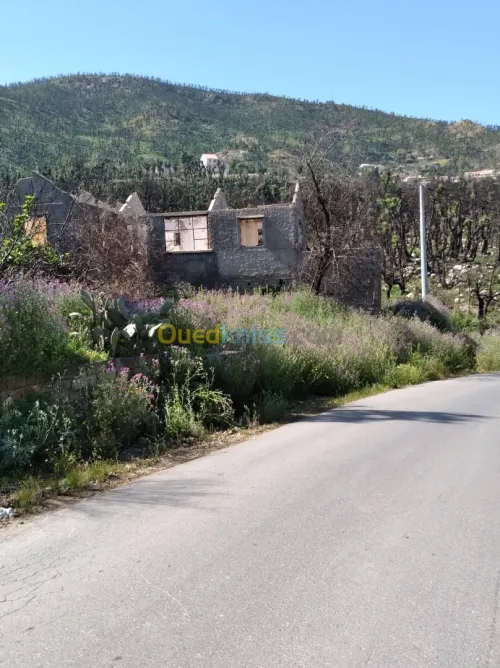 Vente Terrain Tizi Ouzou Zekri