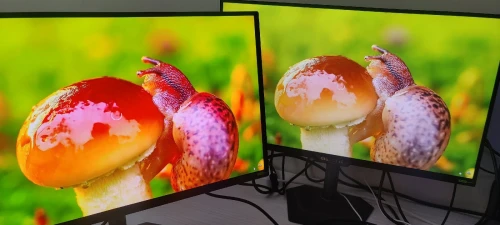 Monitor gigabyte MO27U2 OLED 27 240HZ