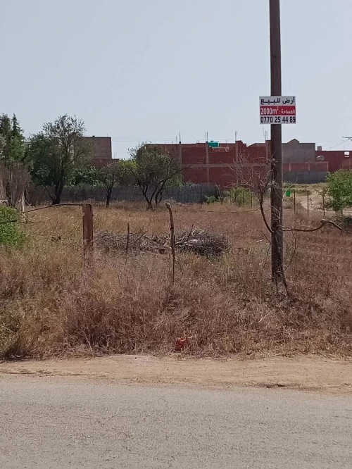 Vente Terrain Tlemcen Marsa ben mhidi 3