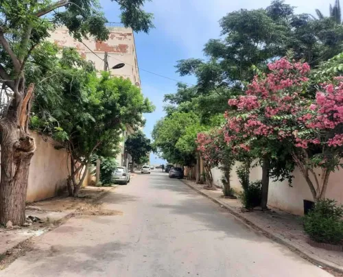 Location Appartement F3 Oran Ain el turck