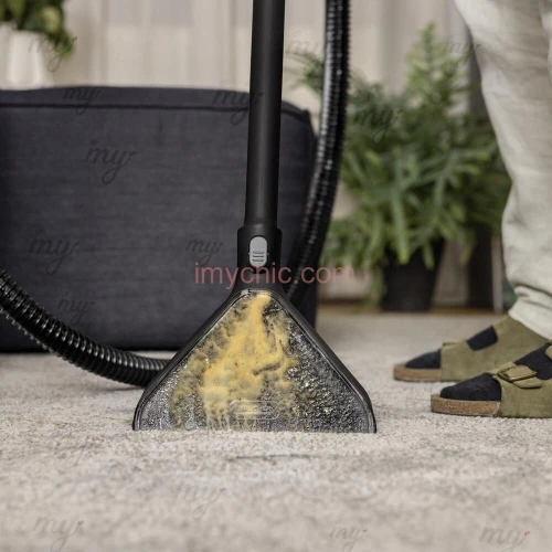 Nettoyage Salons et Tapis à domicile