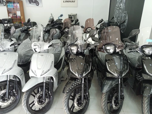 Vms Corale 2026