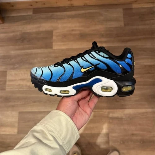 Basquettes Hommes Nike originale