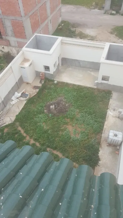 Vente Villa Alger Ain taya