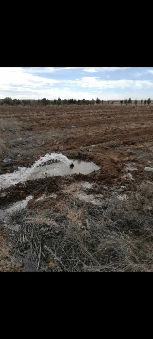 Location Terrain Agricole Djelfa Birine