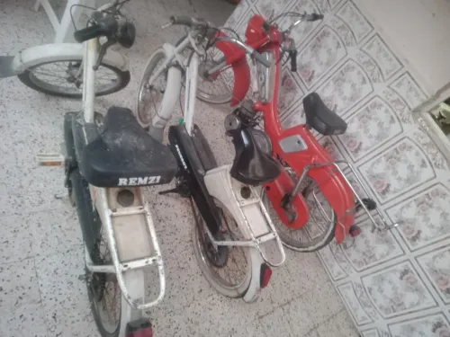 موطوا بيكان موطوا 102بيجوا زوج حبات بيكال او زوج موطوات 102 بيجوا 