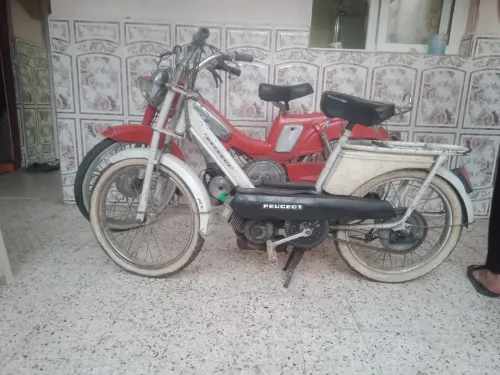 موطوا بيكان موطوا 102بيجوا زوج حبات بيكال او زوج موطوات 102 بيجوا 