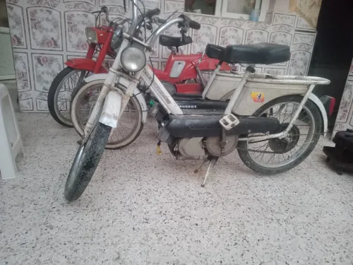 موطوا بيكان موطوا 102بيجوا زوج حبات بيكال او زوج موطوات 102 بيجوا 