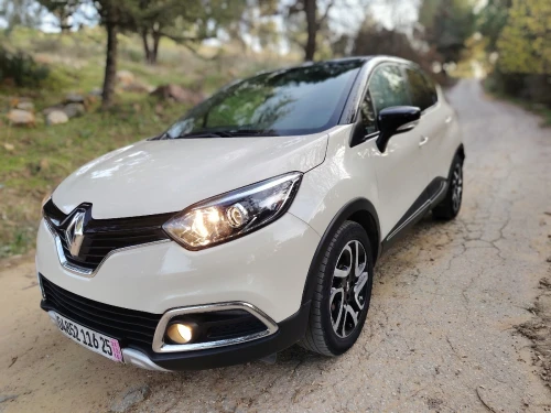 Renault Captur 2016 Mountain