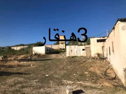 Vente bien immobilier Constantine Constantine