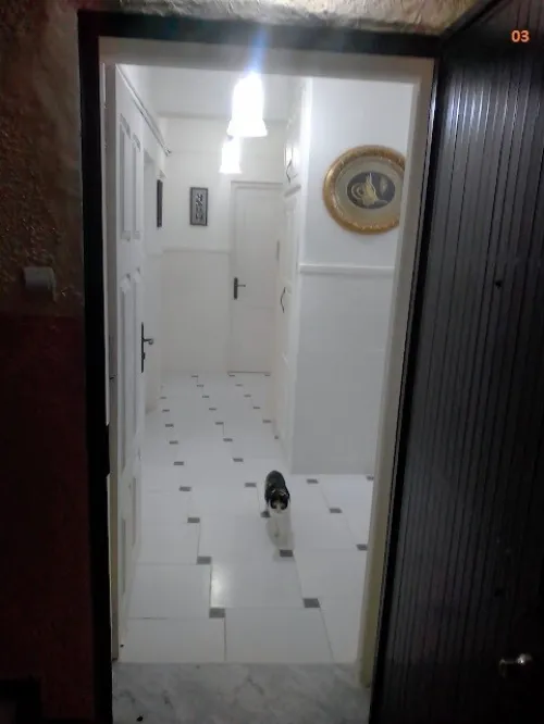 Vente Appartement F3 Boumerdès Thenia