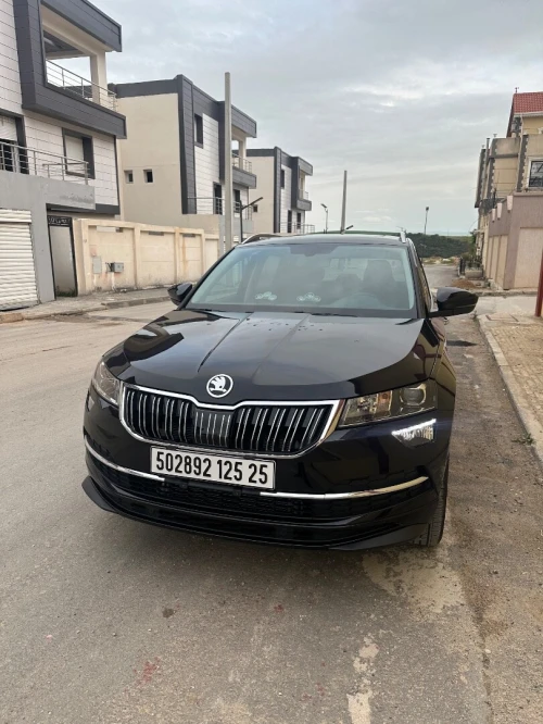 Skoda Karoq 2025 