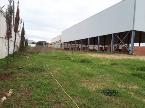 Location Hangar Boumerdès Boumerdes