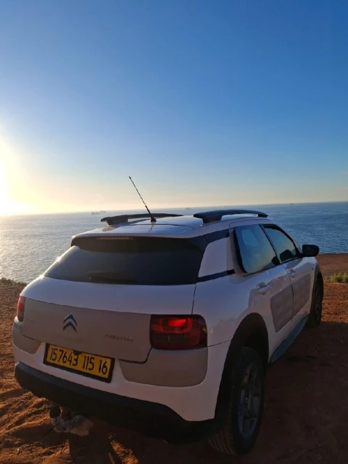 Citroen C4 Cactus 2015 L'atout
