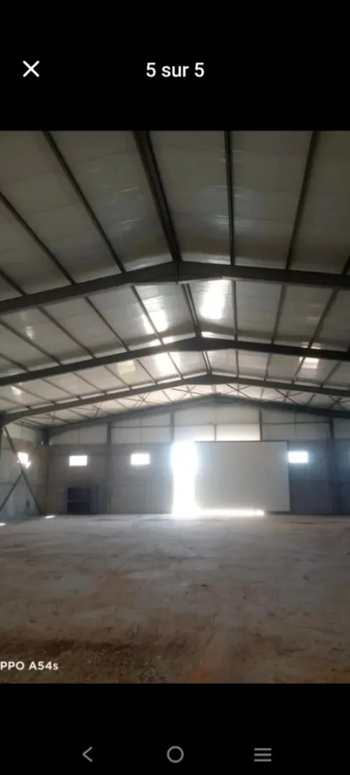Vente Hangar Alger Reghaia