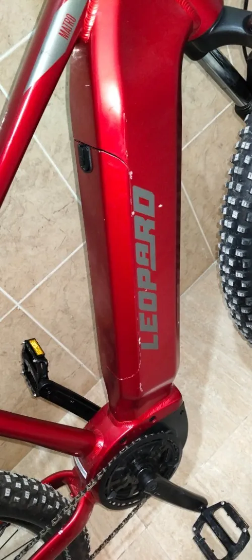 Velo electric leopard