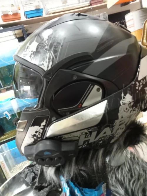 Casque chaque bluo