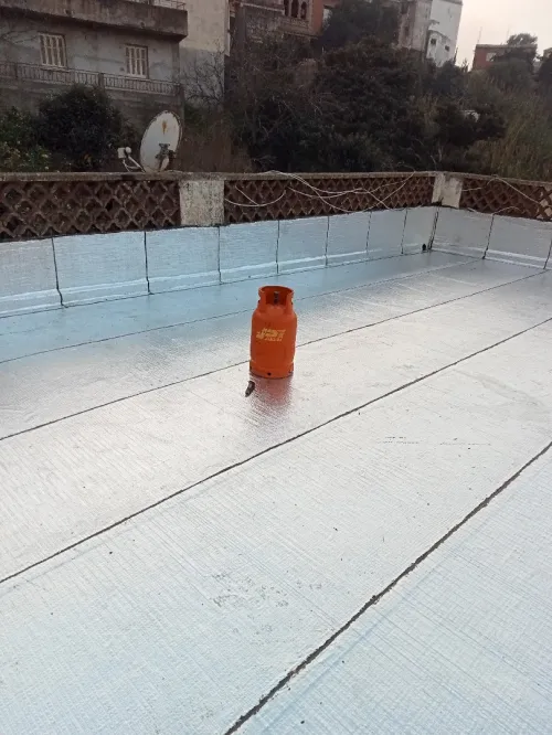 Travaux étanchéité 