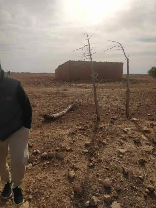 Vente Terrain Djelfa Hassi fedoul