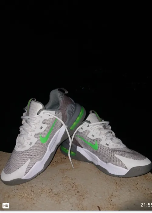 Basket Nike neuve 