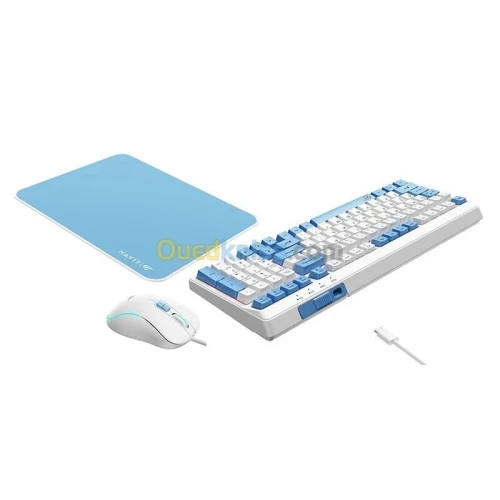  HAVIT GAMENOTE KB897CM - CLAVIER MÉCANIQUE + SOURIS + TAPIS - RÉTROÉCLAIRAGE - RED SWITCH - WHITE 