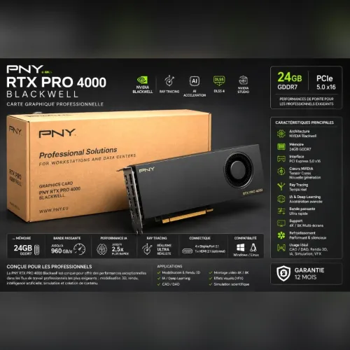 PNY RTX PRO 4000 BLACKWELL - CARTE GRAPHIQUE PROFESSIONNELLE - 24GB GDDR7 - PCIE X16 AI - RAY TRACING - NOIR
