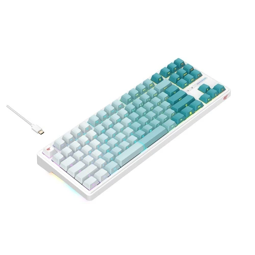 HAVIT KB901L - CLAVIER MÉCANIQUE GAMING - RGB BACKLIT - SWITCHES RED - 88 TOUCHES - ANTI-GHOSTING - DESIGN GAMING - BLACK