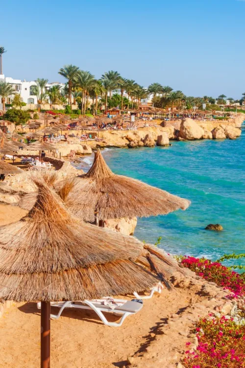 voyage organisé sharm el sheikh 